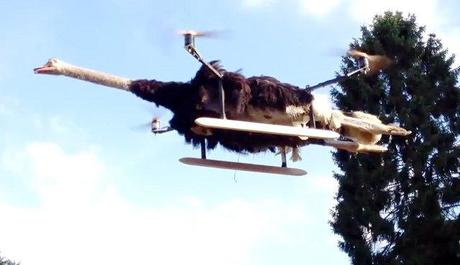 ostrich-quadrocopter