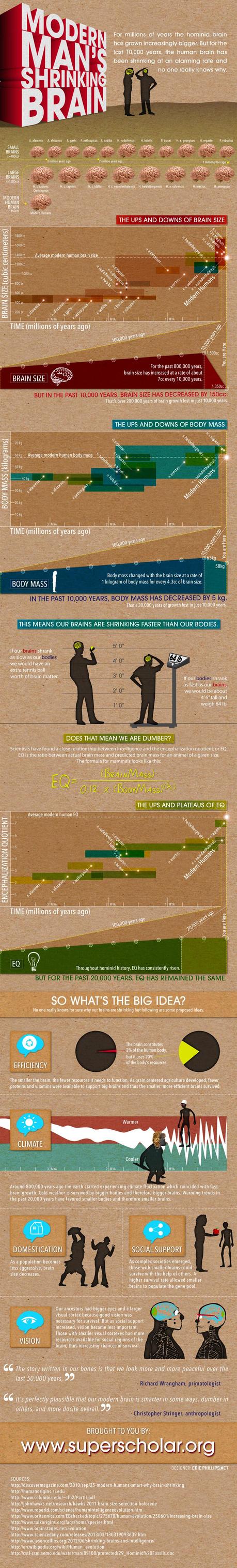 Our brains are shrinking