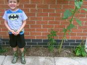 Gardening Update #countrykids