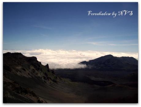 What's coming over there? 