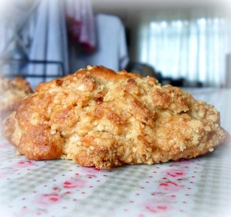 Cranberry, Ginger and White Chocolate Rock Cakes - Paperblog