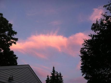 Pink-Skywatch-in-Farmingdale