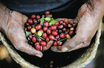Street Scene... Coffee