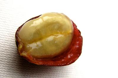 Street Scene... Coffee