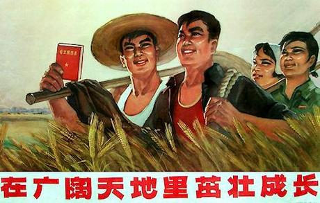 Red Farm Propaganda