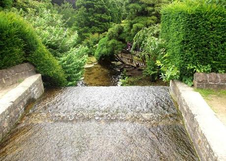 Lifestyle - Newstead Abbey, Nottingham