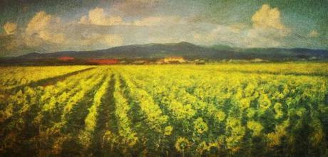 Roland Boesiger Roland Boesiger