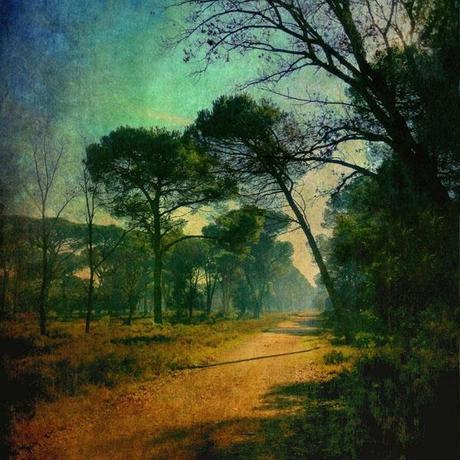 Gianluca Ricoveri Gianluca Ricoveri