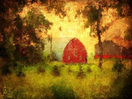 Jane Fiala Jane Fiala