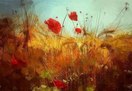 iVana J.B. iVana J.B.