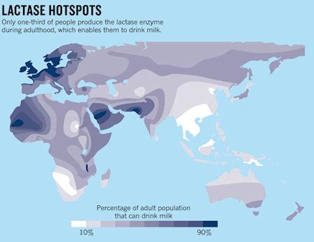 What Are The Most Lactose Intolerant Places In The World?