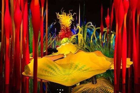 Chihuly Mille Fiori