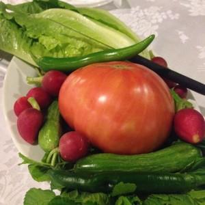 Fadel_Naas_Bickfaya17