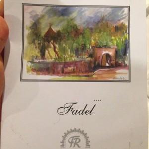 Fadel_Naas_Bickfaya09