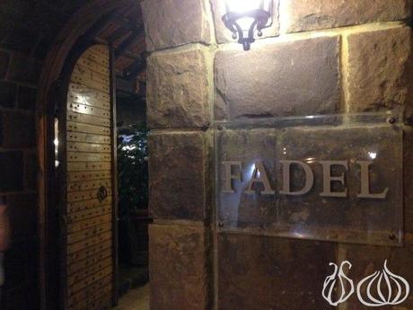 Fadel_Naas_Bickfaya02