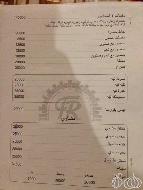 Fadel_Naas_Bickfaya11