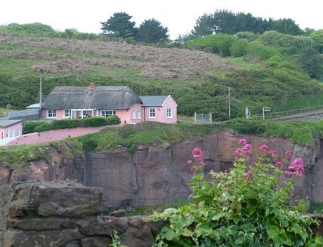 pink thatched cottage in dunmore east in county waterford - ireland