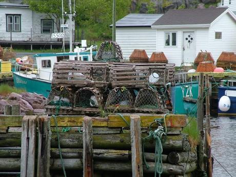 lobster traps sitting on wharf in newfoundland village in canada