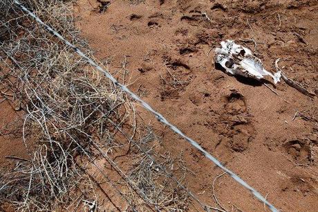 New Mexico is the Driest of the Dry