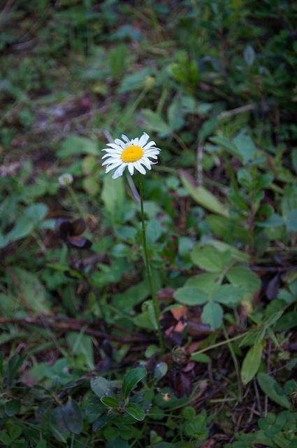 Frater lake washington