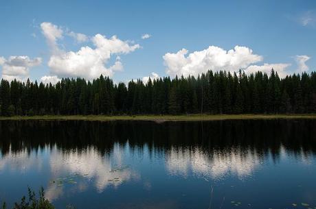 Frater lake washington