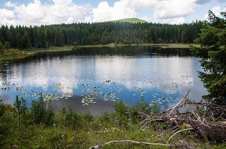 Frater lake washington
