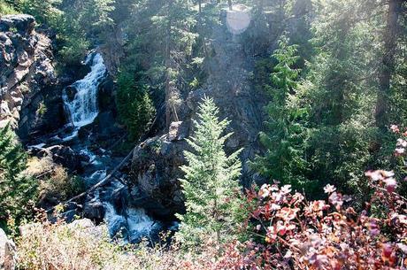 Frater lake washington