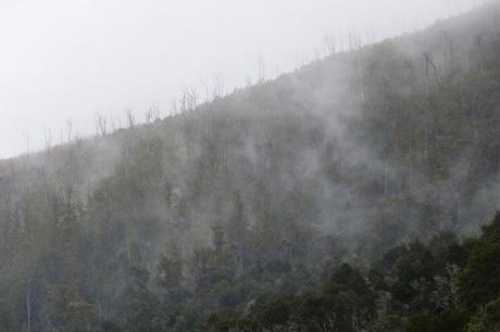 morning mist over mountains tasmania