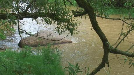green river - high water - whitevale - ontario