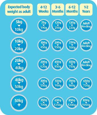 dog feeding guide