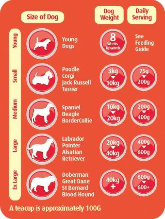 dog feeding guide