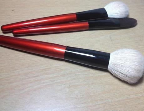 BH Cosmetics 10 pcs Deluxe Makeup Brush Set Review