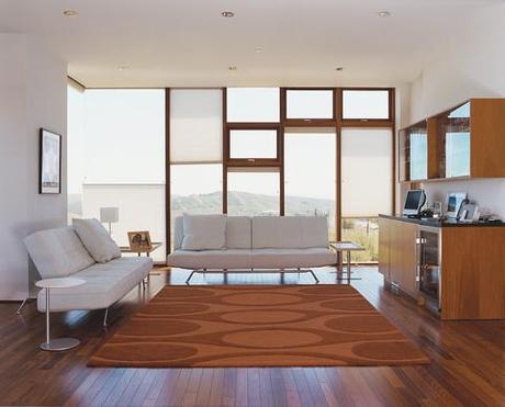 orange rug window wall living room