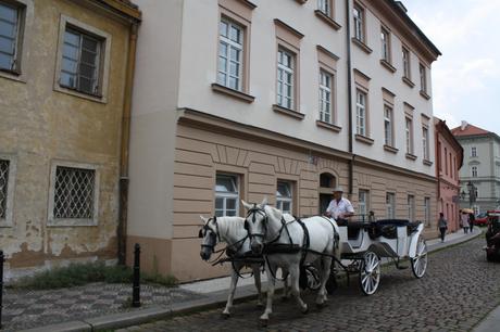horse carriage prague