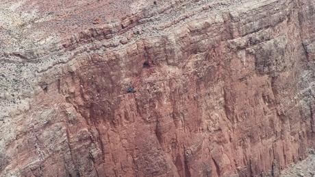 Condor in flight - Battleship Rock Grand Canyon