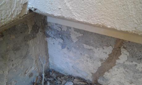termites arizona tubes plentiful mud subterranean paperblog visible checking often foundation ground