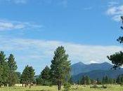 Invite More Creative Surprises Into Your Life Today