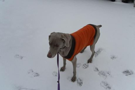 Zoe in an orange sweater