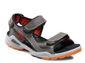 Gear Closet: ECCO Biom Chiappo Sandals