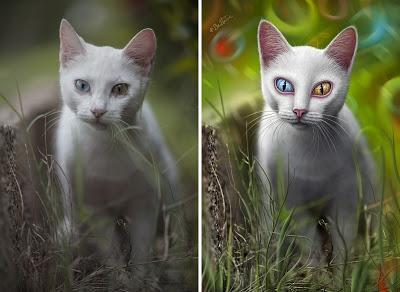 Before-After - Hypnosis - Artwork by Ben Heine Before-After - Hypnosis - Artwork by Ben Heine