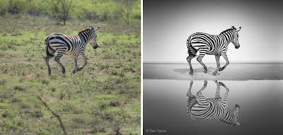 Before-After - Sea of Freedom - Artwork by Ben Heine Before-After - Sea of Freedom - Artwork by Ben Heine