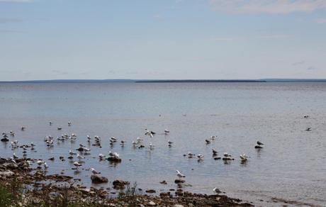 Mackinac Island