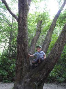 SAM_0642 A holiday of play parks and outdoor fun! #countrykids