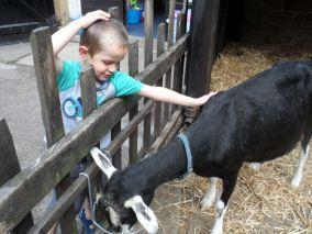 SAM_0679 A holiday of play parks and outdoor fun! #countrykids