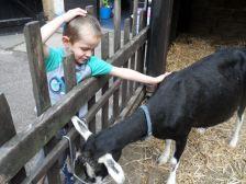 SAM_0679 A holiday of play parks and outdoor fun! #countrykids