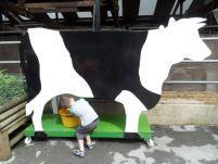 SAM_0698 A holiday of play parks and outdoor fun! #countrykids