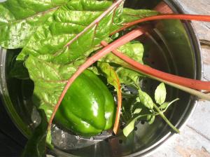 Peppers and Swiss Chard