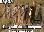 Day: Spotted This Mere