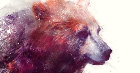 Animal Illustrations by Amy Hamilton