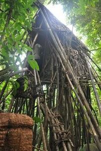 Man And Son Found In Jungle After 40 Years (Videos)